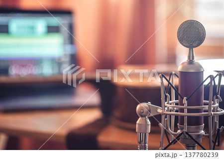 Professional microphone on blurred background, sound recording concept. Professional microphone on blurred background, sound recording concept. 137780239