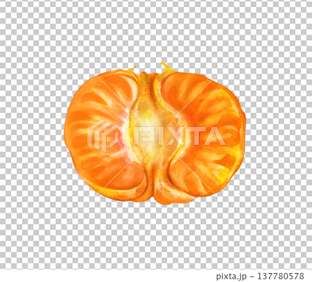 Watercolor illustration of half a peeled tangerine on an isolated background. Drawing of an orange tropical fruit. Realistic citrus clipart for food packaging and organic branding. Watercolor illustration of half a peeled tangerine on an isolated background. Drawing of an orange tropical fruit. Realistic citrus clipart for food packaging and organic branding. 137780578