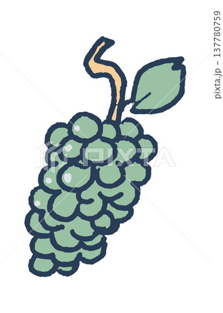 Green juicy grapes Greek garden 137780759