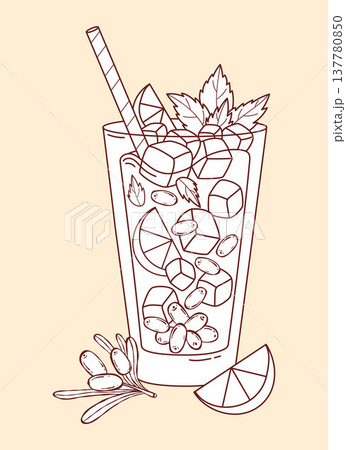 Sea Buckthorn Drink Line Art Illustration. Highball Glass with Berries, Ice Cubes, Mint Leaves and Lemon Slices with Cocktail Straw. Outline Minimalist Vector Coloring Page for Menu Design. Sea Buckthorn Drink Line Art Illustration. Highball Glass with Berries, Ice Cubes, Mint Leaves and Lemon Slices with Cocktail Straw. Outline Minimalist Vector Coloring Page for Menu Design. 137780850