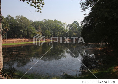 バコンのお濠 137781176