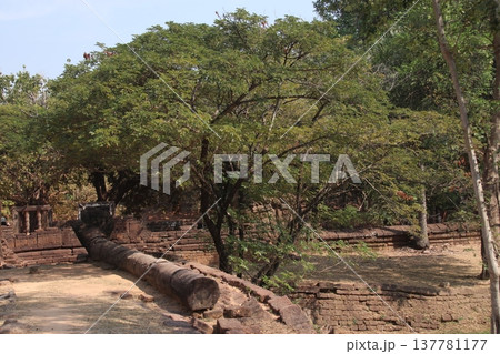 バコンのナーガ 137781177