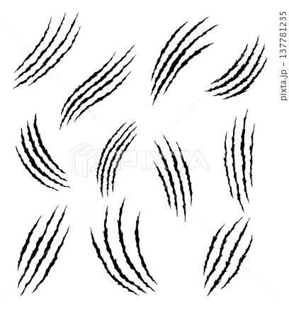 Bear or tiger claw marks. Scratches and torn traces of vector animal paw slashes. Hole in sheet of paper with torn edges. Vector illustration Bear or tiger claw marks. Scratches and torn traces of vector animal paw slashes. Hole in sheet of paper with torn edges. Vector illustration 137781235