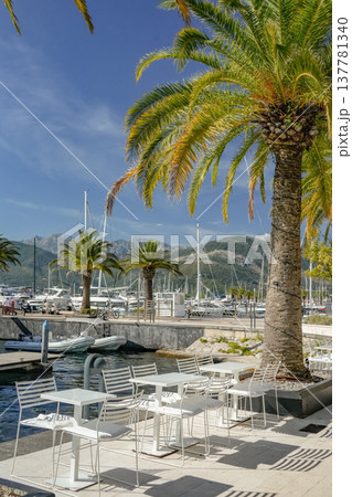 Outdoor Terrace with Table Chairs and Palm Trees 137781340