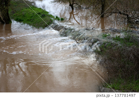 The impact of floods in Portugal in 2026, when rivers overflow and inundate agricultural fields The impact of floods in Portugal in 2026, when rivers overflow and inundate agricultural fields 137781497