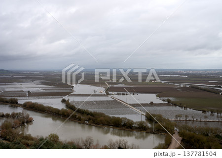 The impact of floods in Portugal in 2026, when rivers overflow and inundate agricultural fields The impact of floods in Portugal in 2026, when rivers overflow and inundate agricultural fields 137781504