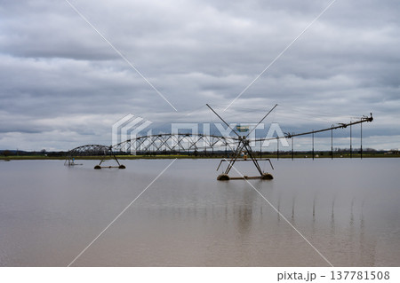 The impact of floods in Portugal in 2026, when rivers overflow and inundate agricultural fields The impact of floods in Portugal in 2026, when rivers overflow and inundate agricultural fields 137781508