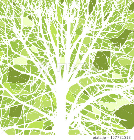 Realistic green natural tree bare branches silhouette on a white background. Tracing a tree branch. Not AI, Vector illustration Realistic green natural tree bare branches silhouette on a white background. Tracing a tree branch. Not AI, Vector illustration 137781518