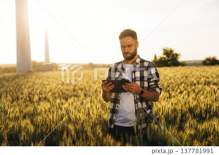 Sunny weather, front view. Guy engineer in wheat field against wind turbines Sunny weather, front view. Guy engineer in wheat field against wind turbines 137781991