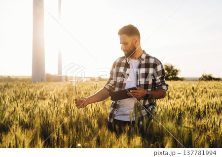 Sunny weather, front view. Guy engineer in wheat field against wind turbines Sunny weather, front view. Guy engineer in wheat field against wind turbines 137781994