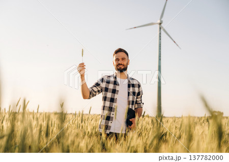 Single plant in hand. Guy engineer in wheat field against wind turbines Single plant in hand. Guy engineer in wheat field against wind turbines 137782000
