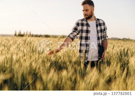 In checkered shirt. Guy engineer in wheat field against wind turbines 137782001