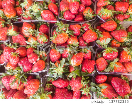 Ripe Red Strawberries in Plastic Containers at a Local Market, Top-Down Photography of Fresh Summer Berries Highlighting Natural Textures and Vibrant Healthy Superfood Display in Budapest, Hungary. Ripe Red Strawberries in Plastic Containers at a Local Market, Top-Down Photography of Fresh Summer Berries Highlighting Natural Textures and Vibrant Healthy Superfood Display in Budapest, Hungary. 137782336