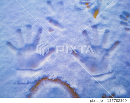 Child Handprints in Deep Fresh Snow Detail Winter Play and Childhood Memories Concept Photography in Budapest Hungary February Cold Weather Scene without Hungarian Accents Child Handprints in Deep Fresh Snow Detail Winter Play and Childhood Memories Concept Photography in Budapest Hungary February Cold Weather Scene without Hungarian Accents 137782369