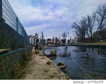 Winter Day at Paskal Park Budapest Behind Zenit Corso. Scenic Outdoor View of Mallard Ducks on a Pond with a Water Fountain in Zuglo District. Peaceful Public Garden Landscape Photography in Hungary. Winter Day at Paskal Park Budapest Behind Zenit Corso. Scenic Outdoor View of Mallard Ducks on a Pond with a Water Fountain in Zuglo District. Peaceful Public Garden Landscape Photography in Hungary. 137782375