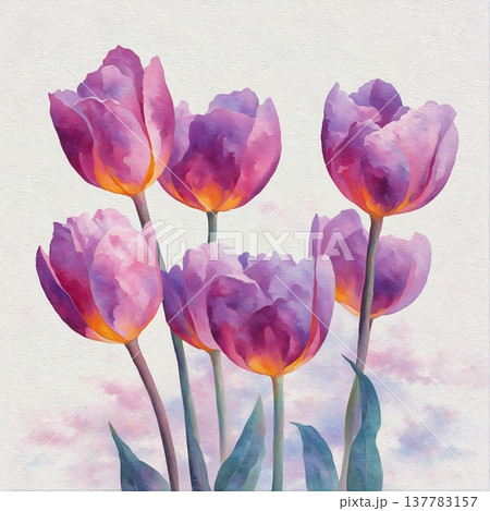 watercolor painting of wild poppies watercolor painting of wild poppies 137783157