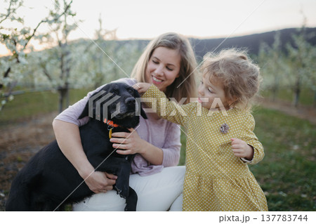 Girl with mother and dog in the middle of blooming orchard. 137783744