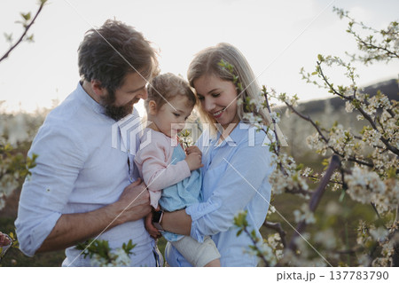 Parents with small daughter on wlak in blooming orchard. 137783790