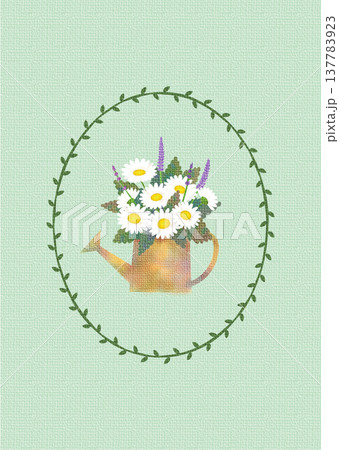 マーガレットのイラスト5 137783923