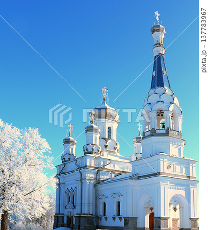 Russia, St. Petersburg, Peterhof, February 21, 2018. The photo shows the main court church in the Upper Park of the State Museum-Reserve "Peterhof" and people walking in the park and admiring the Russia, St. Petersburg, Peterhof, February 21, 2018. The photo shows the main court church in the Upper Park of the State Museum-Reserve "Peterhof" and people walking in the park and admiring the 137783967