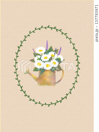 マーガレットのイラスト6 マーガレットのイラスト6 137783971