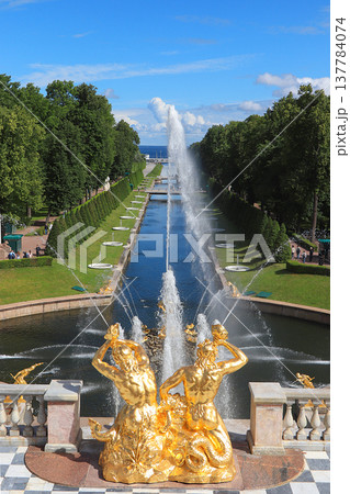 Russia, St. Petersburg, Peterhof, July 9, 2020. The fountain of the Grand Cascade in the Upper Park of the State Museum-Reserve "Peterhof" Russia, St. Petersburg, Peterhof, July 9, 2020. The fountain of the Grand Cascade in the Upper Park of the State Museum-Reserve "Peterhof" 137784074