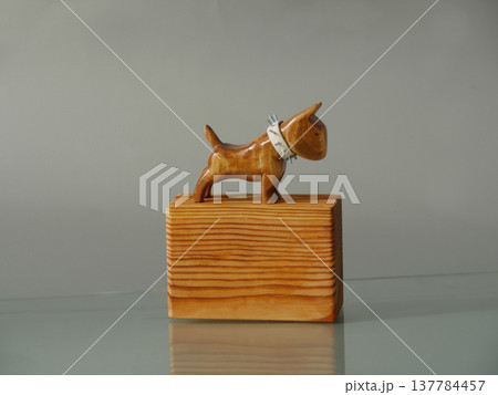 Bull Terrier dog Bull Terrier dog 137784457