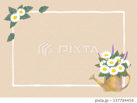 マーガレットのフレーム5 マーガレットのフレーム5 137784458