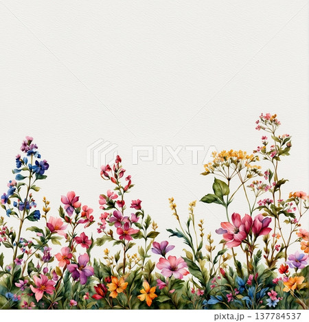 soft focus of light pink sakura flowers 137784537