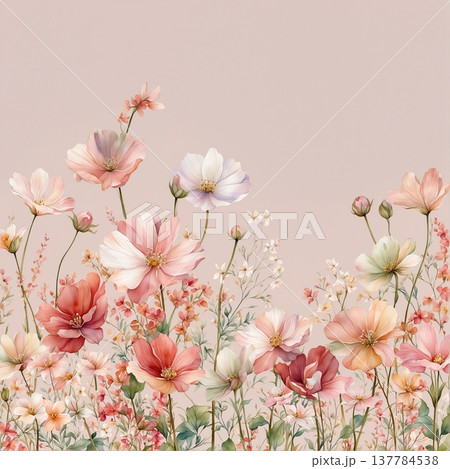 soft focus of light pink sakura flowers 137784538