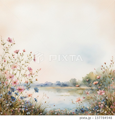 soft focus of light pink sakura flowers soft focus of light pink sakura flowers 137784548