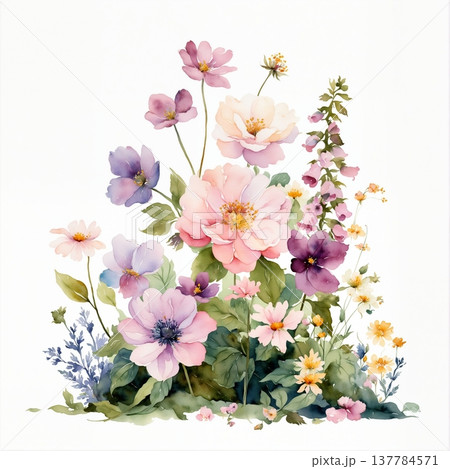 soft focus of light pink sakura flowers soft focus of light pink sakura flowers 137784571