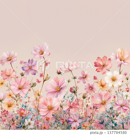 soft focus of light pink sakura flowers soft focus of light pink sakura flowers 137784580