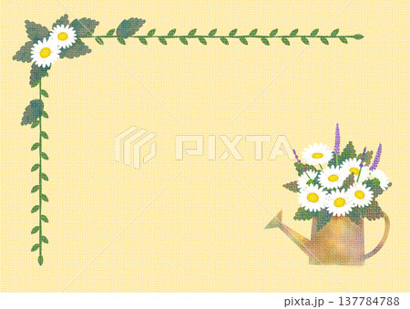 マーガレットのフレーム11 137784788