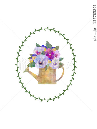 パンジーのイラスト1　 137785291