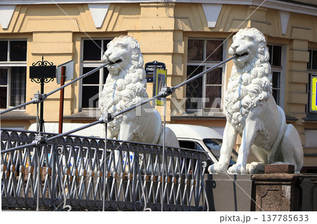 Russia, St. Petersburg, July 1, 2019. Lions on the Lion Bridge. In the photo Lions on the Lion Bridge on the Griboedov Canal, which are architectural landmarks of the city of St. Petersburg 137785633