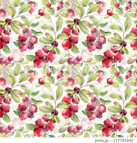 Seamless pattern with watercolor lingonberry branches and berries for natural background. Ripe fresh red berry plant hand drawn repeat print isolated. Healthy organic fruit design for wrapping paper. 137785692