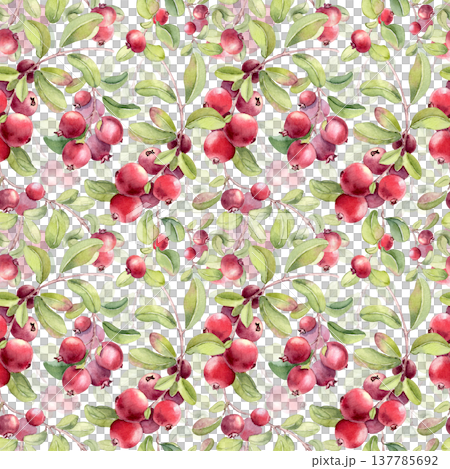 Seamless pattern with watercolor lingonberry branches and berries for natural background. Ripe fresh red berry plant hand drawn repeat print isolated. Healthy organic fruit design for wrapping paper. 137785692
