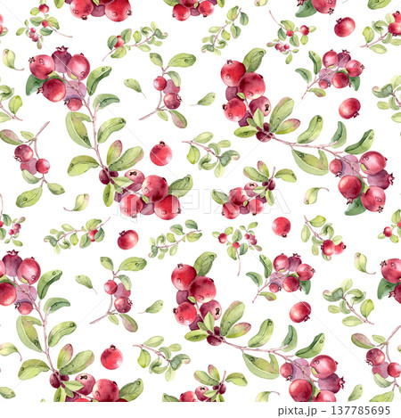 Watercolor cranberry and foliage seamless pattern. Wild northern berry bunches on stems hand painted. Fresh ripe repeat for fabric design, wallpaper, textile, packaging, food. Lingonberry background. Watercolor cranberry and foliage seamless pattern. Wild northern berry bunches on stems hand painted. Fresh ripe repeat for fabric design, wallpaper, textile, packaging, food. Lingonberry background. 137785695