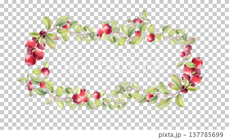 Watercolor botanical wreath with lingonberry on branches hand painted isolated. Fresh ripe fruits decorative frame for food packaging, organic product. Summer design blank space with redberry. 137785699