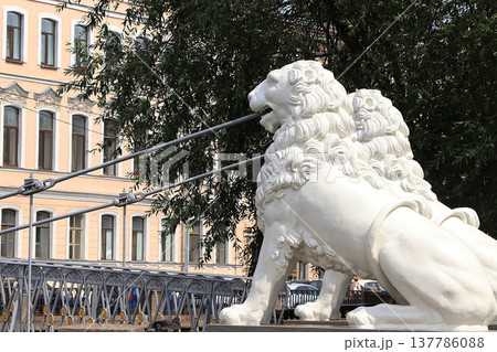Russia, St. Petersburg, July 1, 2019. Lions on the Lion Bridge. In the photo Lions on the Lion Bridge on the Griboedov Canal, which are architectural landmarks of the city of St. Petersburg 137786088