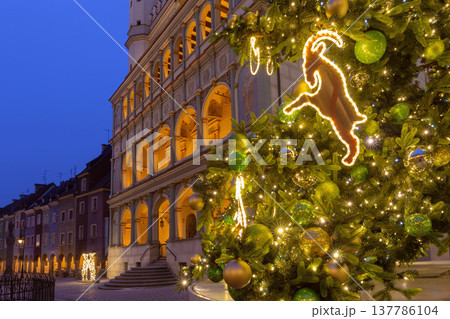 Christmas tree on Old Market Square in Poznan at night Poland 137786104