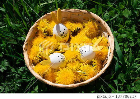 On a green lawn, there is a basket filled with blooming yellow dandelions and Easter eggs with bunny ears. The concept of the Happy Easter holiday On a green lawn, there is a basket filled with blooming yellow dandelions and Easter eggs with bunny ears. The concept of the Happy Easter holiday 137786217