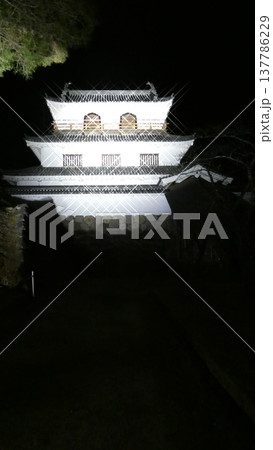 光の反射で輝く白石城 光の反射で輝く白石城 137786229