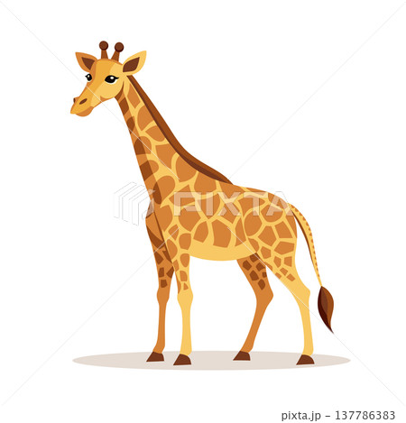 Cute giraffe isolated on white background. Wild animal illustration. 137786383