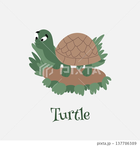 Vibrant green cartoon turtle illustration, flippers, and large, expressive eyes. Cards for children 137786389