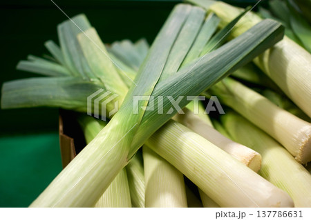 Cooking leeks in a home kitchen on a sunny afternoon Cooking leeks in a home kitchen on a sunny afternoon 137786631