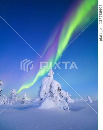 Night landscape of aurora borealis over a winter forest. Scandinavian winter nature. Night landscape of aurora borealis over a winter forest. Scandinavian winter nature. 137786908