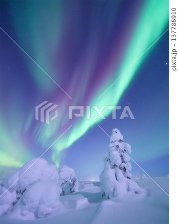 Night landscape of aurora borealis over a winter forest. Scandinavian winter nature. Night landscape of aurora borealis over a winter forest. Scandinavian winter nature. 137786910