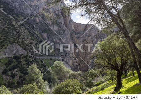 Visitors walk along the Caminito del Rey path in Spain while surrounded by mountains and trees on a sunny day Visitors walk along the Caminito del Rey path in Spain while surrounded by mountains and trees on a sunny day 137787147